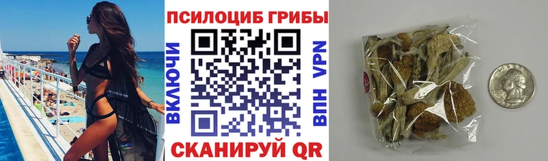 Псилоцибиновые грибы Magic Shrooms где купить наркотик Бирск